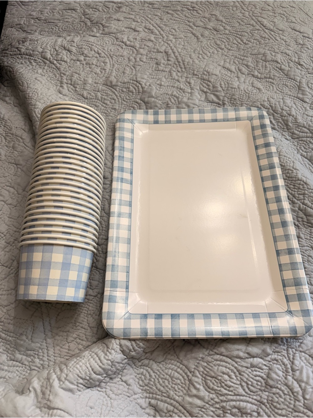 Blue Gingham Paper Serving Tray, Snack Cups, Plastic Serving Trays
